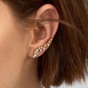 Gorgeous gold earrings - intricate crystal crawler